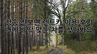청송 진보면 렌트카 이용 후기: 나에게 딱 맞는 차를 찾아봐요!